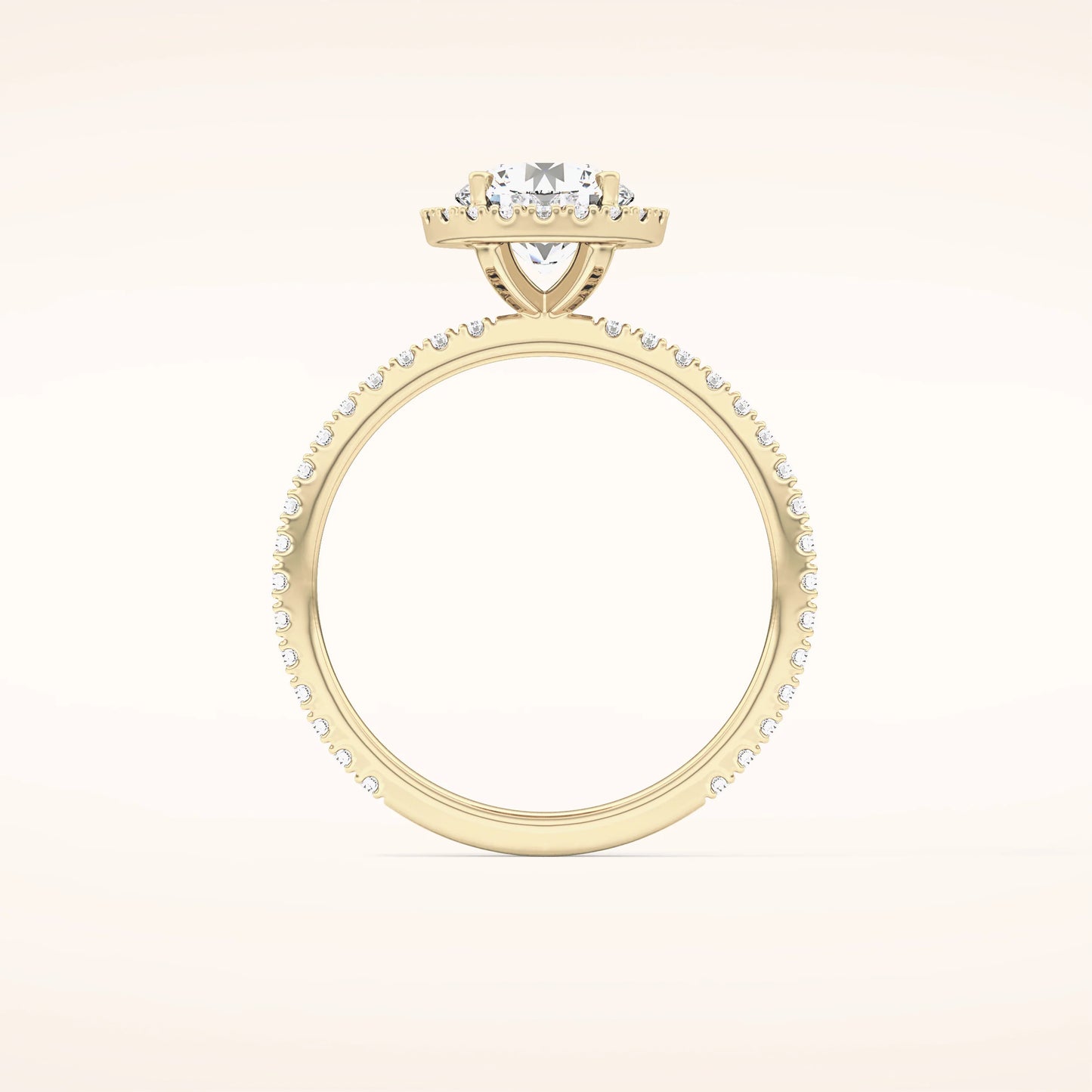 Halo Round Moissanite Ring with Pavè Band